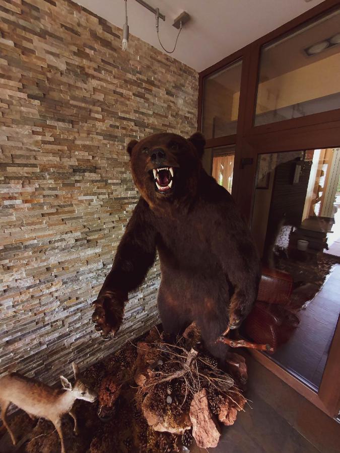Hotel Belvedere Sovata Dış mekan fotoğraf