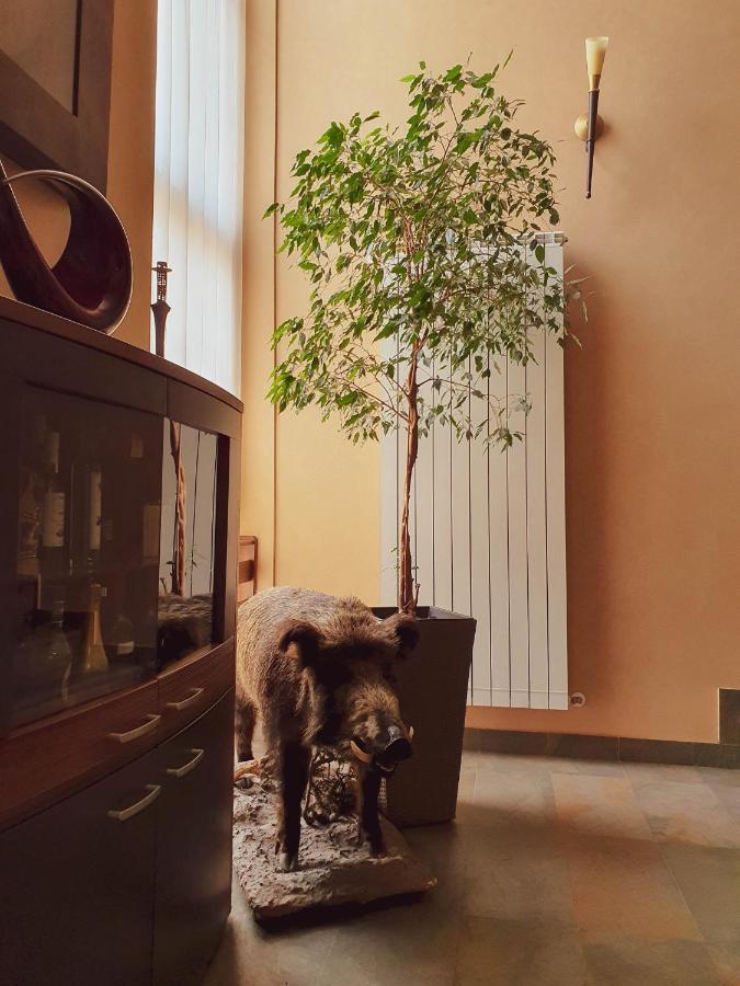 Hotel Belvedere Sovata Dış mekan fotoğraf